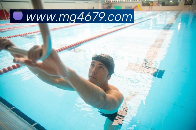 MG娱乐平台官网平台生态图